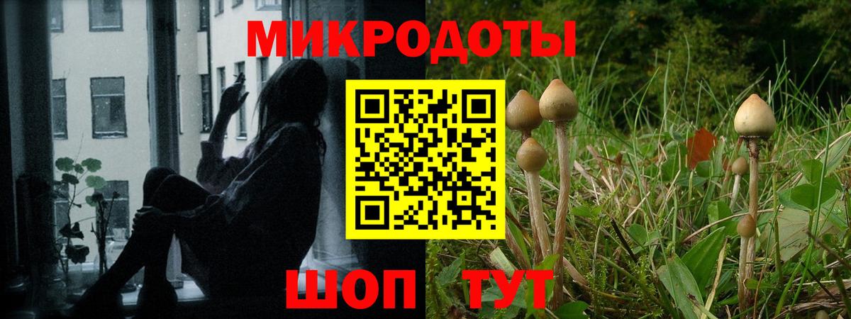 Нижнекамск  Галлюциногенные грибы Cubensis  Вход с VPN  Галлюциногенные грибы Psilocybine cubensis 